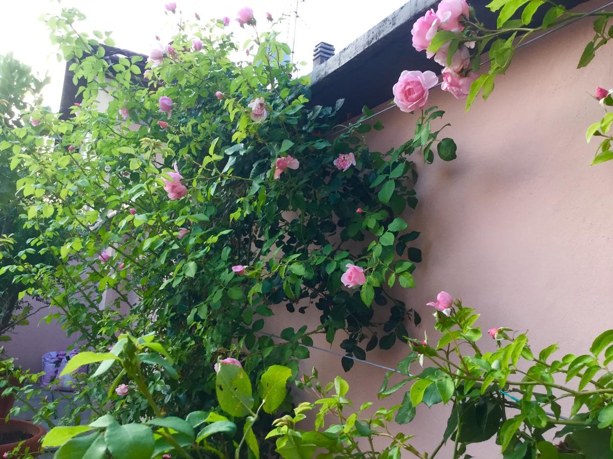 B&B Pescarenico Lecco Bagian luar foto